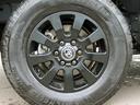 TOYOTA LAND CRUISER 250