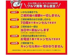 ǥꥫġ ǡѥѥåʥӣԣ֡奢ȡѥХåɥ 0302072A30251102W001 7