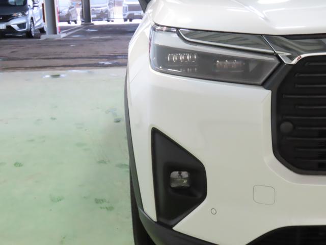 WR-V Z 当社試乗車 純正ナビ エンスタ ドラレコ TVフル リアカメラ ETC(9枚目)