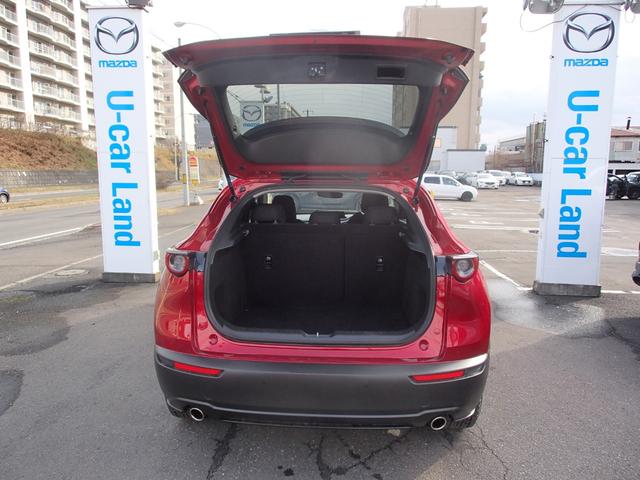 ＣＸ－３０ ２０Ｓ　４ＷＤ　ＣＤ／ＤＶＤ／地デジＴＶチューナー　３６０°ビューモニター　ドライバー・モニタリング（16枚目）