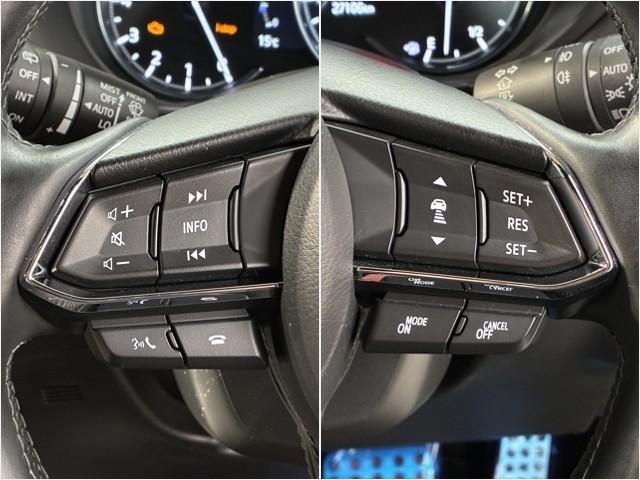 ＣＸ－８ ２５Ｓ　Ｌパッケージ　革シート　サンルーフ　４ＷＤ　フルセグ　メモリーナビ　ミュージックプレイヤー接続可　バックカメラ　衝突被害軽減システム　ドラレコ　ＬＥＤヘッドランプ　乗車定員６人　３列シート　ワンオーナー（25枚目）