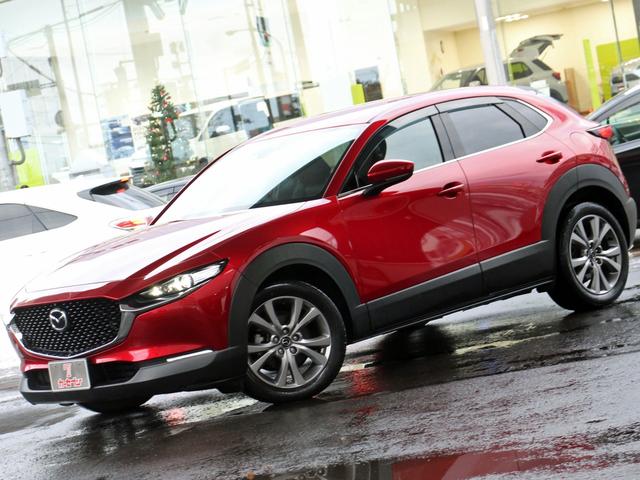 ＣＸ－３０ ＸＤ　プロアクティブ　ツーリングセレクション　４ＷＤ　本州仕入　ＢＯＳＥサウンド　マツダコネクト８．８型ナビ＆ＴＶ　全周囲カメラ　スマートブレーキサポート　レーダークルーズ　パワーバックドア　ステアリングヒーター　メモリーシート　シートヒーター（36枚目）