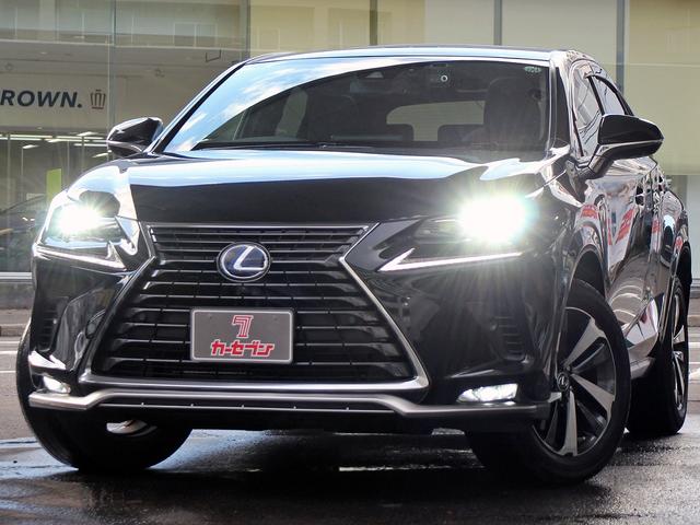 NX NX300h スパイス&シック 4WD 後期型 パノラマルーフ 寒冷地仕様 オプションアルミ 純正10.3型ナビ&TV 全周囲カメラ プレミアムサウンド セーフティーセンスプラス レーダークルーズ シートベンチレーション ETC(38枚目)