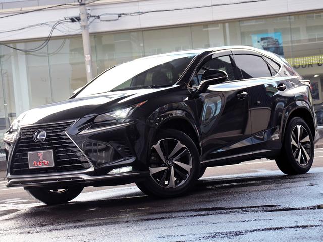 NX NX300h スパイス&シック 4WD 後期型 パノラマルーフ 寒冷地仕様 オプションアルミ 純正10.3型ナビ&TV 全周囲カメラ プレミアムサウンド セーフティーセンスプラス レーダークルーズ シートベンチレーション ETC(40枚目)