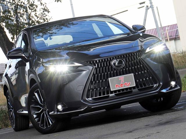 ＮＸ ＮＸ３５０ｈ　寒冷地　９．８型ディスプレイオーディオ　パノラミックビュー　フルセグＴＶ　３眼フルＬＥＤヘッドライト　デジタルミラー　セーフティシステム＋　アダプティブハイビーム　シートヒーター　１５００Ｗ（26枚目）