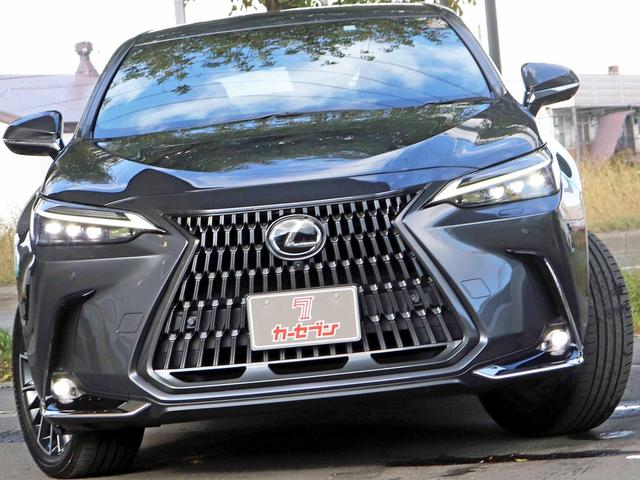 ＮＸ ＮＸ３５０ｈ　寒冷地　９．８型ディスプレイオーディオ　パノラミックビュー　フルセグＴＶ　３眼フルＬＥＤヘッドライト　デジタルミラー　セーフティシステム＋　アダプティブハイビーム　シートヒーター　１５００Ｗ（42枚目）