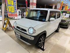 ե쥢С أǡףġﳲڸƥࡡեȺȥҡȥ 0302264A30250427W003 2