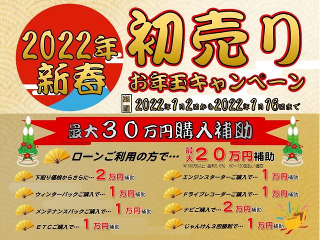 アクシス 4WD 純正SDナビ フルセグTV ETC Bluetoothオーディオ 本革シート(2枚目)