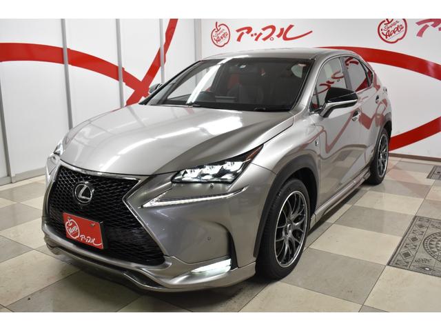 NX200t Fスポーツ 純正ナビ モデリスタエアロ TOM‘Sマフラー TV パノラミックビューモニター 革シート レイズ19インチアルミホイール ベンチレーター 三眼ヘッドライト(7枚目)