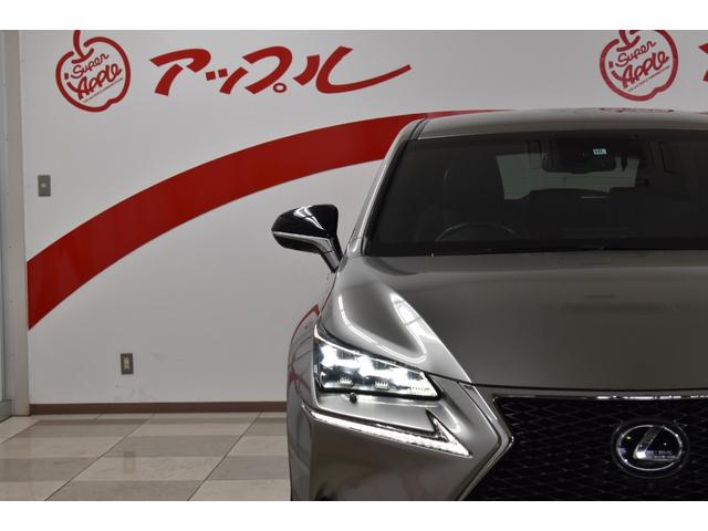 NX200t Fスポーツ 純正ナビ モデリスタエアロ TOM‘Sマフラー TV パノラミックビューモニター 革シート レイズ19インチアルミホイール ベンチレーター 三眼ヘッドライト(9枚目)