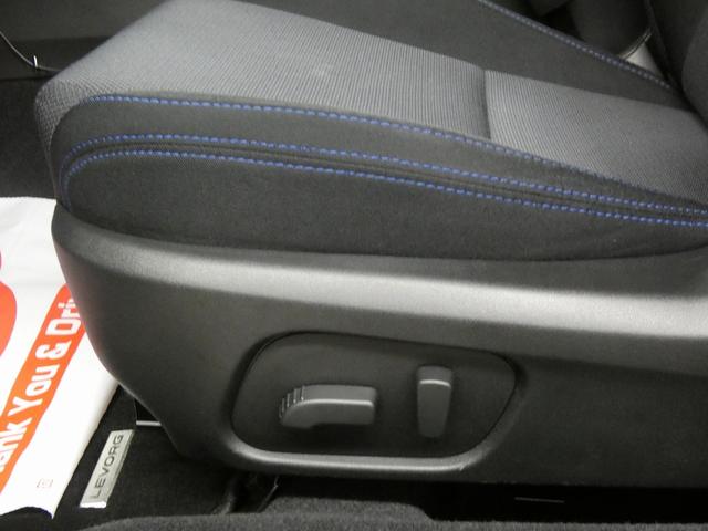 レヴォーグ １．６ＧＴ－Ｓアイサイト　４ＷＤ　ＳＴＩエアロ　社外マフラー　社外アルミホイール　カロッツェリアナビ　フルセグテレビ　ドライブレコーダー　ＥＴＣ　レーダークルーズコントロール　レーンキープアシスト　衝突被害軽減ブレーキ（48枚目）