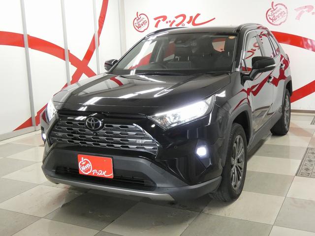 RAV4 G 4WD 寒冷地仕様 純正ディスプレイオーディオ フルセグテレビ パノラミックビューモニター パノラマルーフ パワーリアゲート 純正エンジンスターター ETC ドライブレコーダー トヨタセーフティセンス(6枚目)