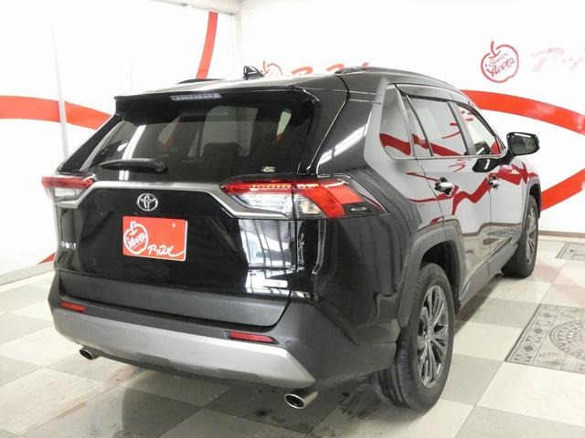 RAV4 G 4WD 寒冷地仕様 純正ディスプレイオーディオ フルセグテレビ パノラミックビューモニター パノラマルーフ パワーリアゲート 純正エンジンスターター ETC ドライブレコーダー トヨタセーフティセンス(55枚目)