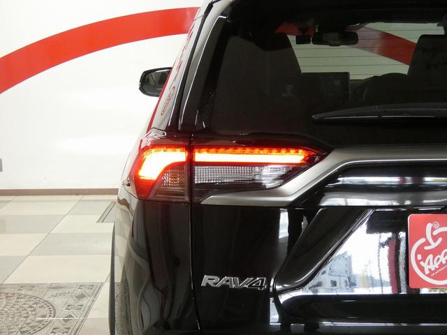 RAV4 G 4WD 寒冷地仕様 純正ディスプレイオーディオ フルセグテレビ パノラミックビューモニター パノラマルーフ パワーリアゲート 純正エンジンスターター ETC ドライブレコーダー トヨタセーフティセンス(58枚目)