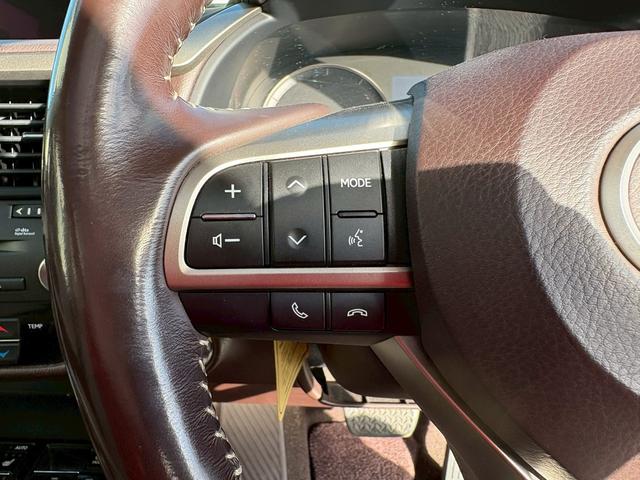 ＲＸ ＲＸ４５０ｈ　バージョンＬ　４ＷＤ・サンルーフ・スペアキー・パワーバックドア・パワーシート・シートヒーター・シートエアコン・クルーズコントロール・純正ナビ・ＴＶ・ＣＤ再生・Ｂｌｕｅｔｏｏｔｈ接続・サンルーフ・ＥＴＣ（22枚目）