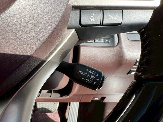 ＲＸ ＲＸ４５０ｈ　バージョンＬ　４ＷＤ・サンルーフ・スペアキー・パワーバックドア・パワーシート・シートヒーター・シートエアコン・クルーズコントロール・純正ナビ・ＴＶ・ＣＤ再生・Ｂｌｕｅｔｏｏｔｈ接続・サンルーフ・ＥＴＣ（24枚目）