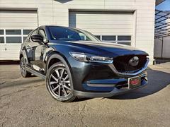 Ƽ索ȥ󤪼갷ƤޤĶ˹äʧˡƤƤޤ 5