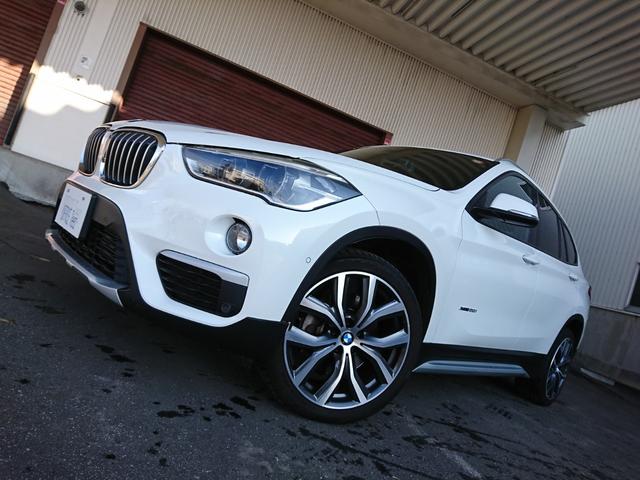 X1 xDrive 20i xライン ハイラインパッケージ コンフォートパッケージ 19インチAW(10枚目)