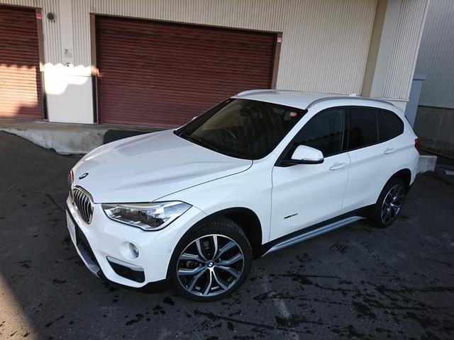 X1 xDrive 20i xライン ハイラインパッケージ コンフォートパッケージ 19インチAW(12枚目)