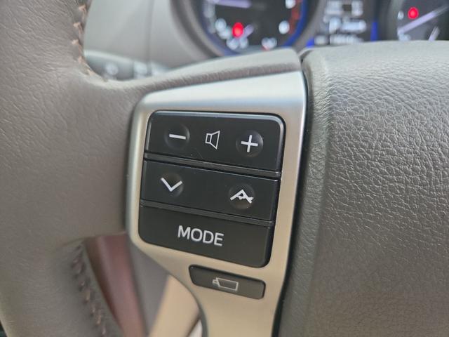 ランドクルーザープラド ＴＺ－Ｇ　４ＷＤ　ドライブレコーダー　バックカメラ　オートクルーズコントロール　パワーシート　サンルーフ　ナビ　オートライト　ＬＥＤヘッドランプ　ヘッドライトウォッシャー　アルミホイール　スマートキー（24枚目）