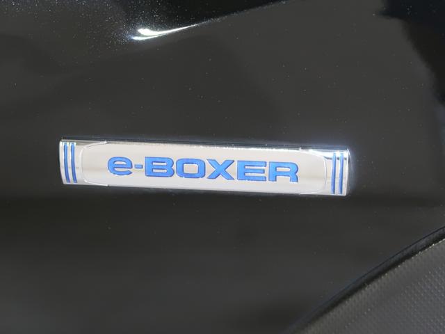 ＸＶ Ａｄｖａｎｃｅ　ＥｙｅＳｉｇｈｔ搭載車（19枚目）