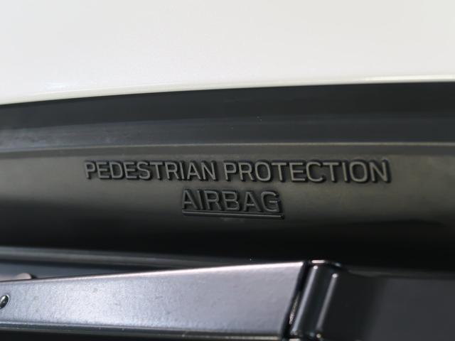 ＸＶ Ａｄｖａｎｃｅ　ＥｙｅＳｉｇｈｔ搭載車（18枚目）