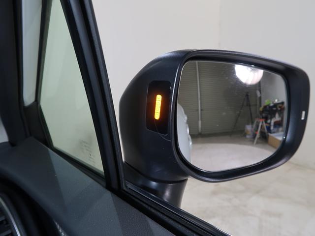 ＸＶ Ａｄｖａｎｃｅ　ＥｙｅＳｉｇｈｔ搭載車（19枚目）