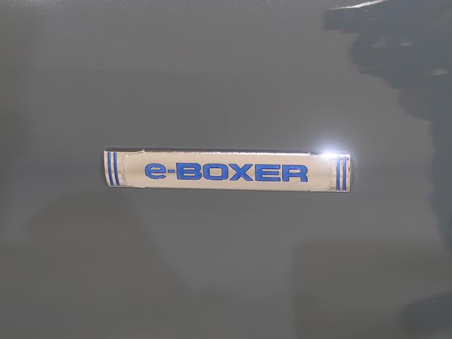 クロストレック リミテッド(20枚目)