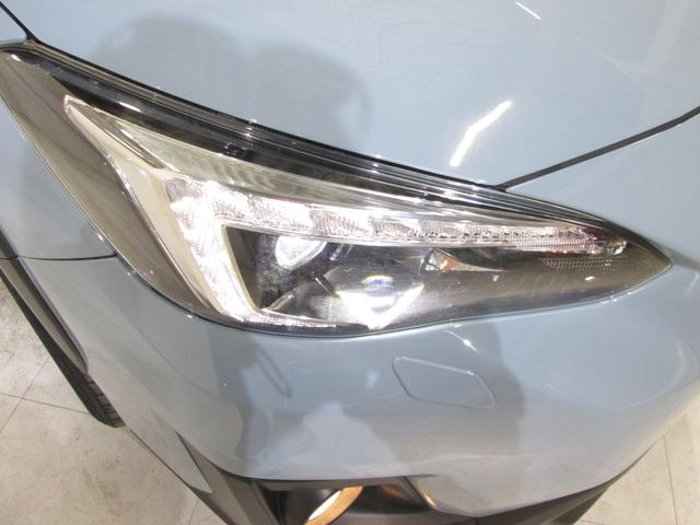 ���邢�k�d�c�w�b�h���C�g�I��Ԃ̎��E���m�ہI���C�g�_���̗����オ�肪�����L�p�ɑO�����Ƃ炵�܂��I