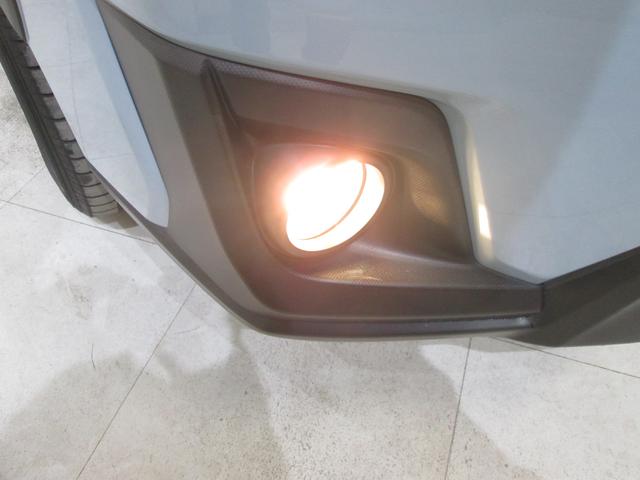 ���邢�k�d�c�w�b�h���C�g�I��Ԃ̎��E���m�ہI���C�g�_���̗����オ�肪�����L�p�ɑO�����Ƃ炵�܂��I