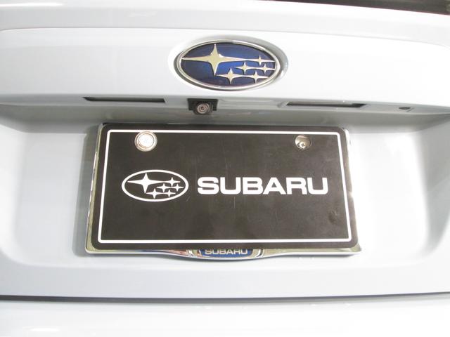 �o�b�N�J�����ł��I�o�b�N�h�A�̐^�񒆕ӂ�ɑ�������Ă���A�������������Ɖf���o���܂��I