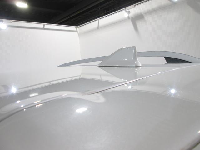 フォレスター Ｘ－ＢＲＥＡＫ　ＥｙｅＳｉｇｈｔ搭載車（20枚目）