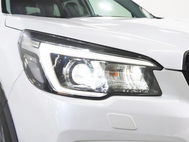 ���邢�k�d�c�w�b�h���C�g�I��Ԃ̎��E���m�ہI���C�g�_���̗����オ�肪�����L�p�ɑO�����Ƃ炵�܂��I