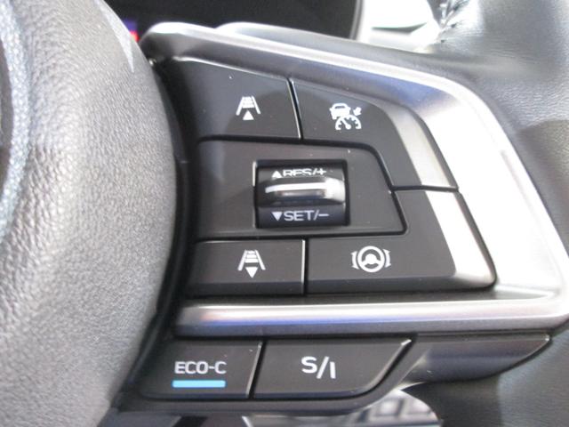 フォレスター アドバンス　ワンオーナー（48枚目）