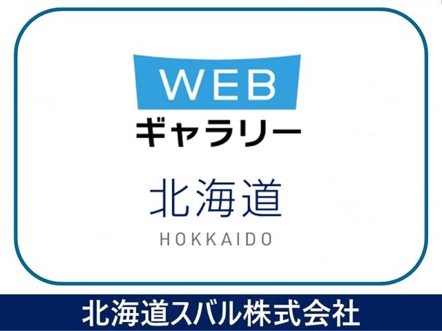 シフォン カスタムＲ（2枚目）