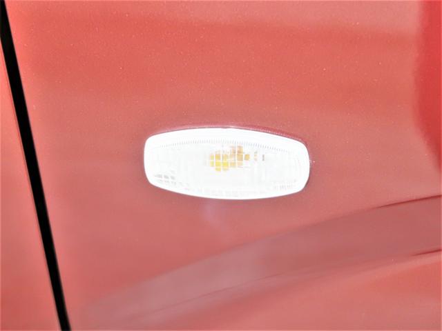 �N���A�����Y�ŃX�^�C���b�V���ȃT�C�h�E�C���J�[�͑傫�߂Ŏ��F���������ł��B