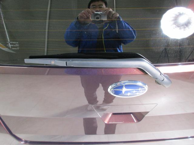 プレオプラス L(17枚目)