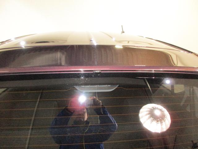 プレオプラス L(18枚目)