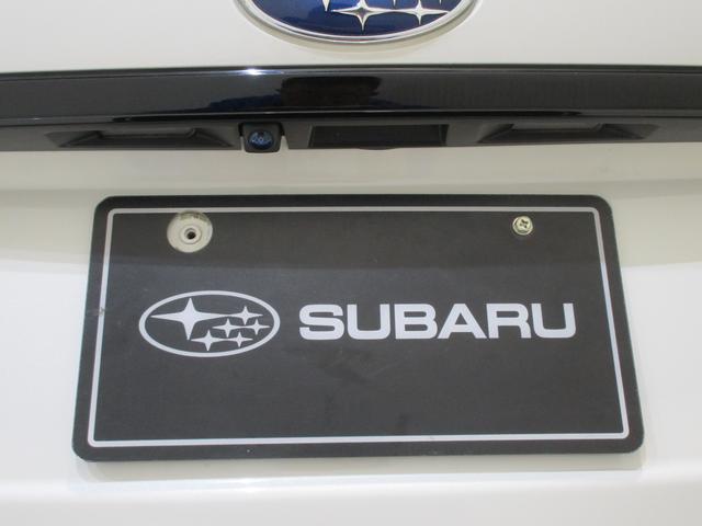 �o�b�N�J�����ł��I�����Q�[�g�̐^�񒆕ӂ�ɑ�������Ă���A�������������Ɖf���o���܂��I