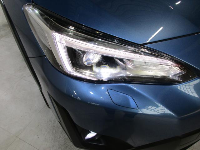 ���邢�k�d�c�w�b�h���C�g�I��Ԃ̎��E���m�ہI���C�g�_���̗����オ�肪�����L�p�ɑO�����Ƃ炵�܂��I