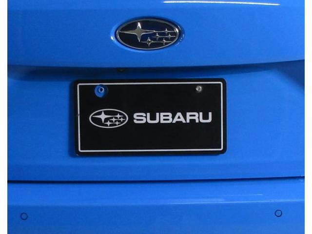 �����J�����ł��I�o�b�N�h�A�̐^�񒆕ӂ�ɑ�������Ă���A�������������Ɖf���o���܂��I