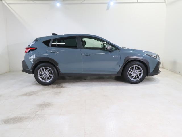 クロストレック リミテッド（10枚目）