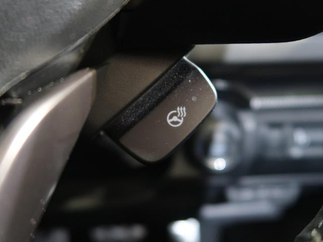 クロストレック リミテッド（53枚目）