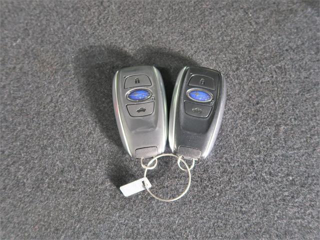 クロストレック リミテッド（75枚目）