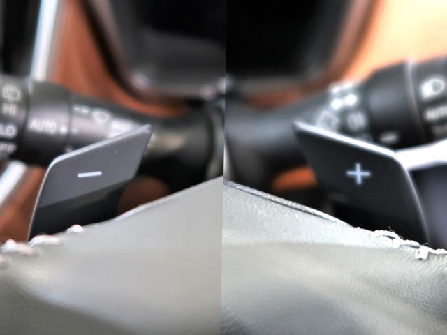 �l�s���o�̃V�t�g���삪�����߂�u�p�h���V�t�g�v�I�X�e�A�����O�����𗣂����ɃV�t�g���삪�\�B�c�����W���s���ł��p�h���̑���ɂ���Ĉꎞ�I�Ƀ}�j���A�����[�h�Ɉڍs�ł��܂��B