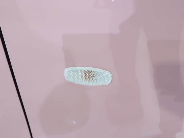 �N���A�����Y�ŃX�^�C���b�V���ȃT�C�h�E�C���J�[�͑傫�߂Ŏ��F���������ł��B