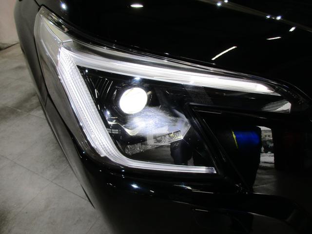 ���邢�k�d�c�w�b�h���C�g�I��Ԃ̎��E���m�ہI���C�g�_���̗����オ�肪�����L�p�ɑO�����Ƃ炵�܂��I