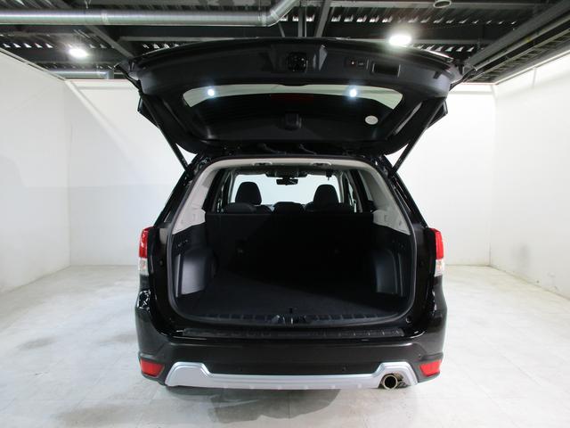 ���A�Q�[�g���J����ƃJ�[�S���[�����o��ł��I