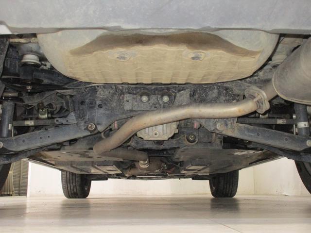 �����̏󋵂ł��B�N�����V�������߃}�t���[�ȊO�ɎK���͂Ȃ������ł��B