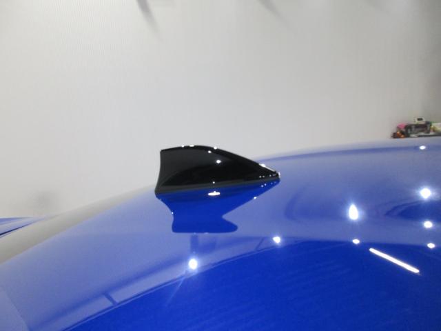 ＢＲＺ ＳＴＩ　スポーツ（23枚目）